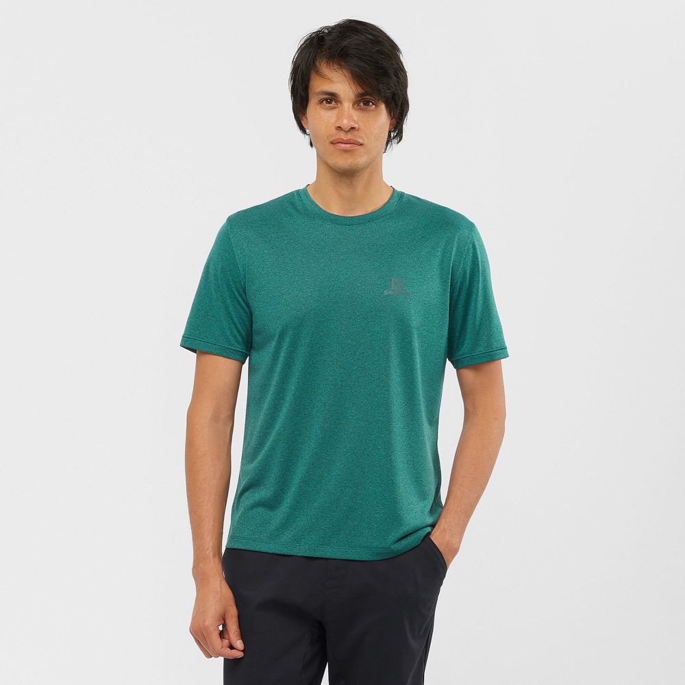 Salomon Singapore Mens T-shirts - EXPLORE M Green | 61325-ZDVX